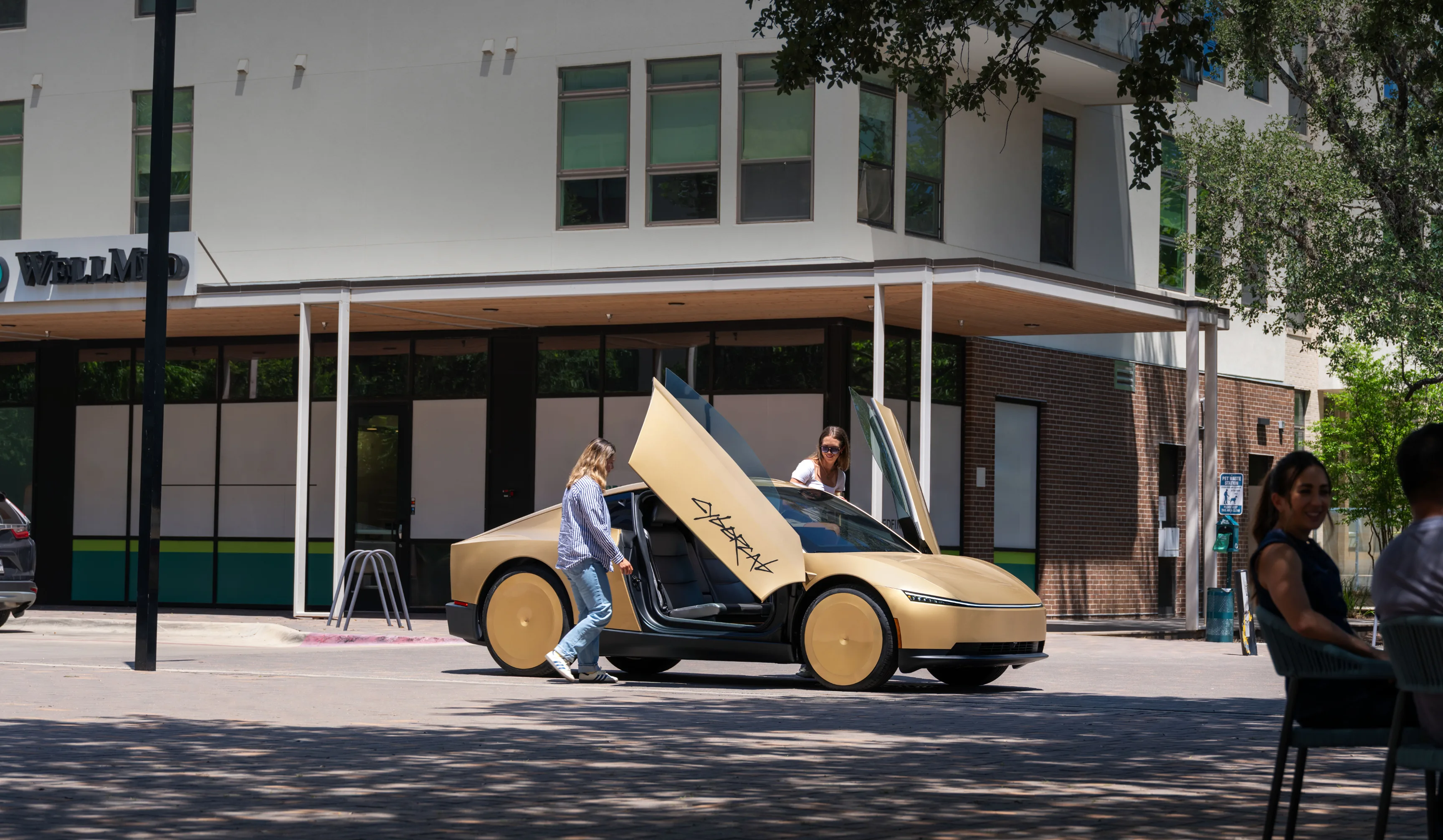 Model Y Order