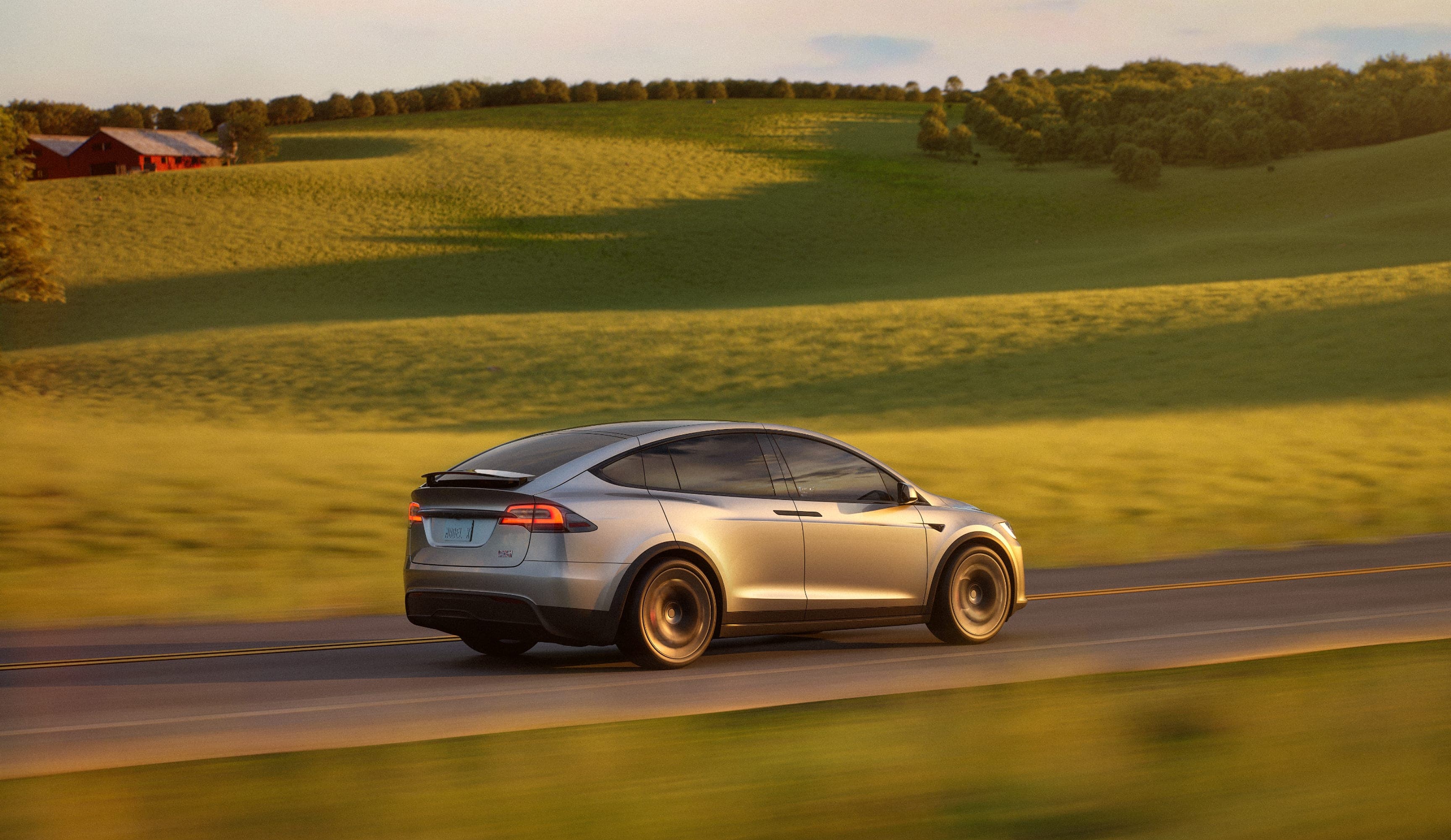Model Y Order
