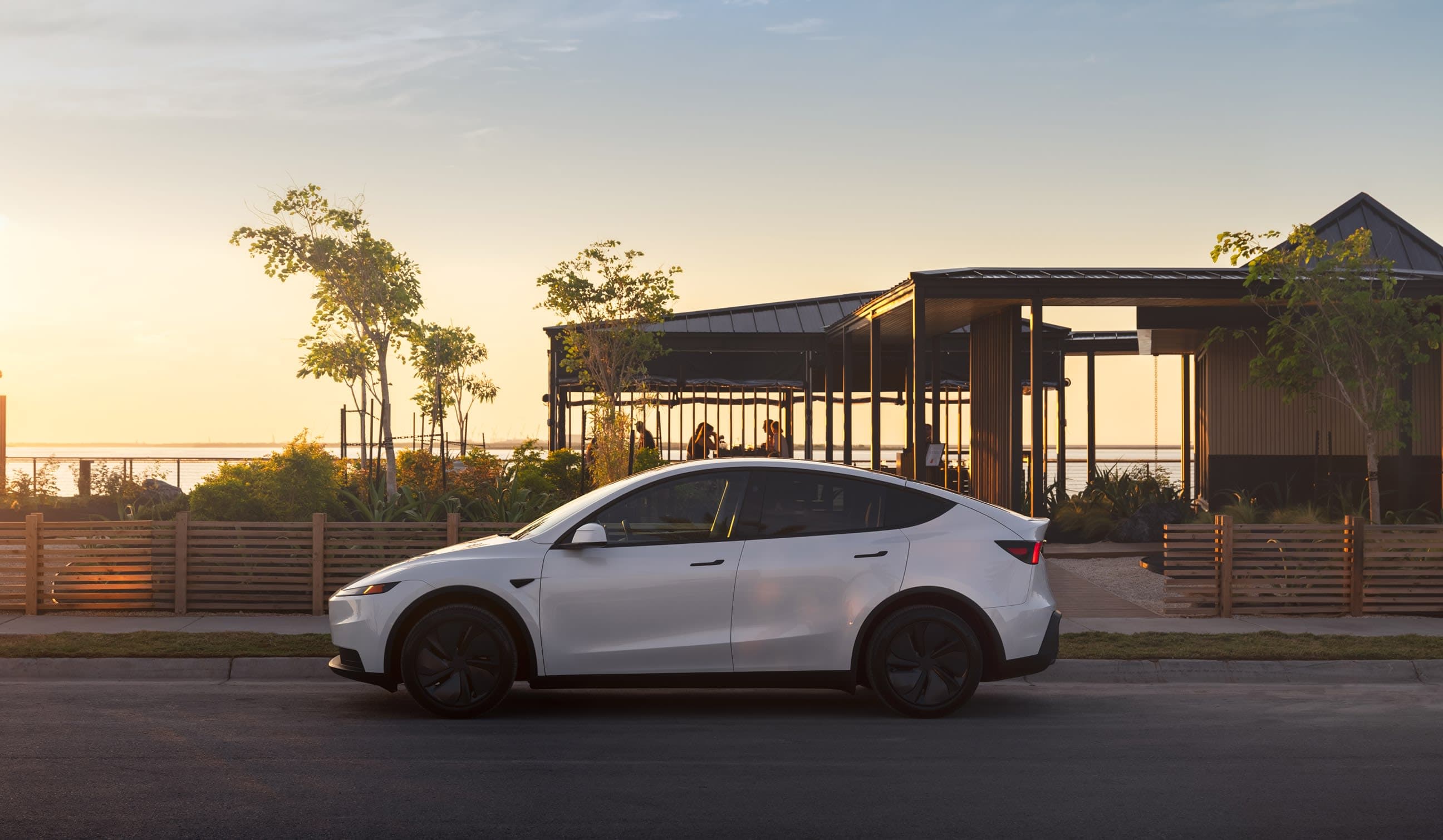 Model Y Order