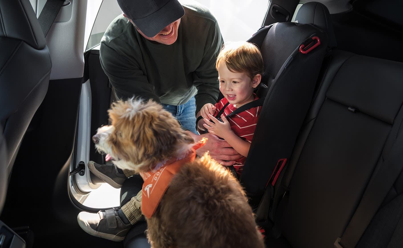 Model Y Safety